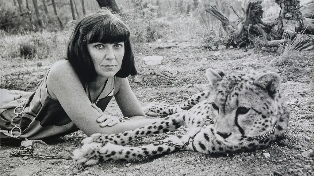 8_Helmut Newton, June with Cheetah, Ramatuelle 1976, copyright Helmut Newton Foundation